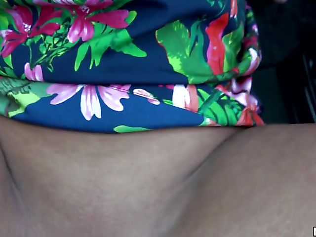 Backseat fuck with Hungarian chick Loren Minardi