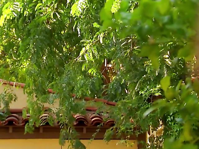 Carmen Hart in black boots and lingerie rides a cock in bed