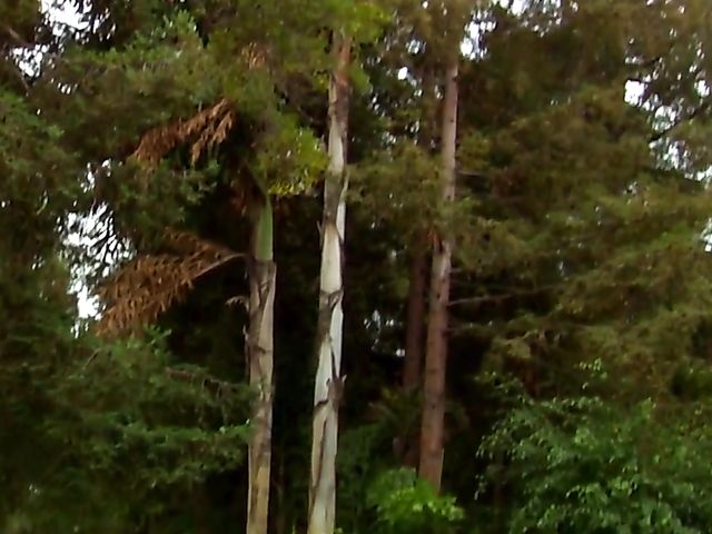 Carmen Hart in black boots and lingerie rides a cock in bed