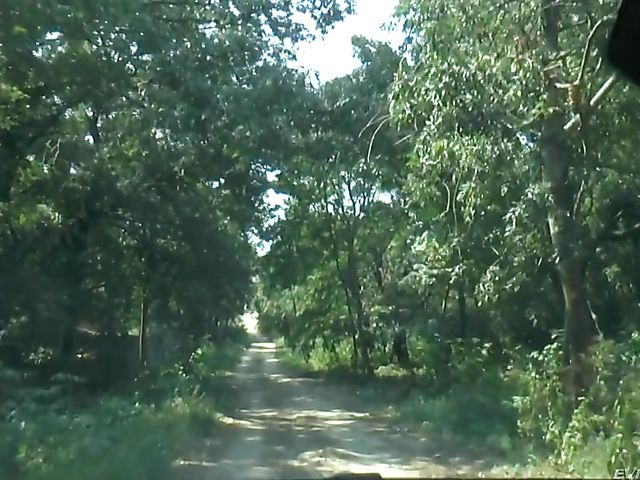 Anal outdoors with MILF hooker Kayla Green