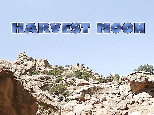 Outdoor sex with Remy LaCroix in the moonlight