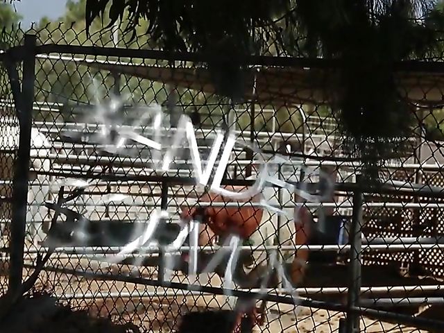 Outdoor sex with Remy LaCroix in the moonlight