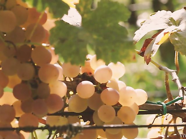 Asian lesbian Katana with sweet Sarah Cute outdoors