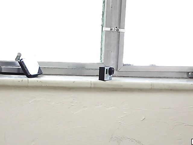 Twerk fuck with enthusiastic blonde Staci Carr