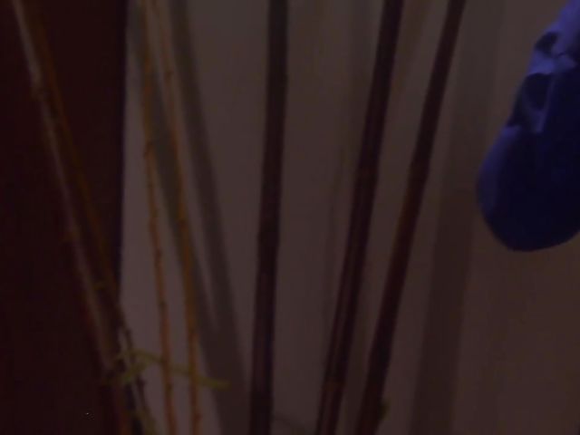 Beverly Hills - Hot man and busty stripper fuck