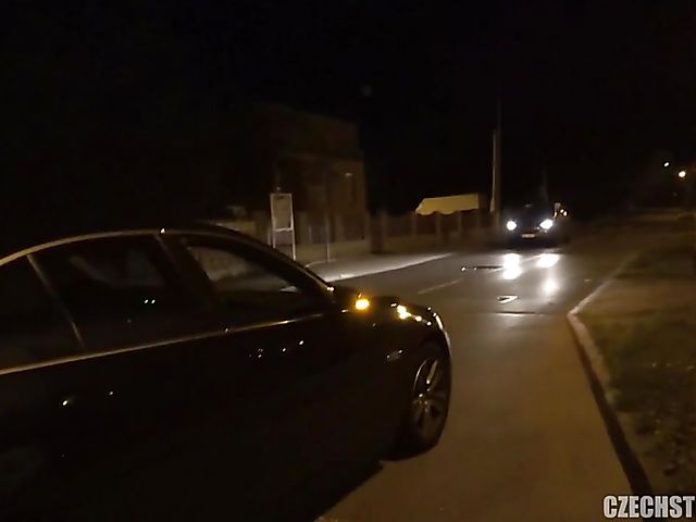 Pregnant amateur picked off the street and fucked