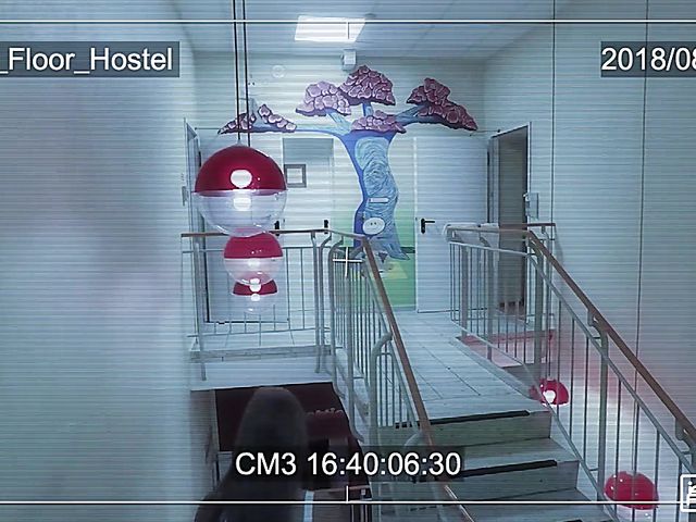 Hot girl Tiffany Tatum gets down and nasty in a hostel