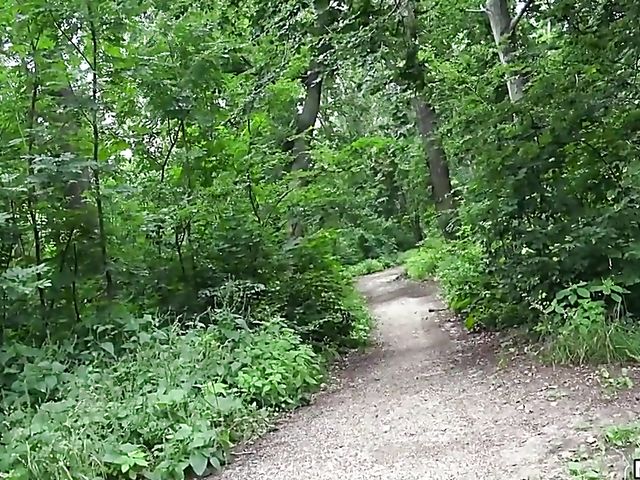 Sex for money in the woods with Zazie Skymm