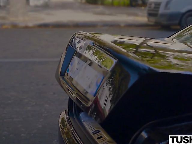 Tori Black anal with Nacho Vidal in Paris