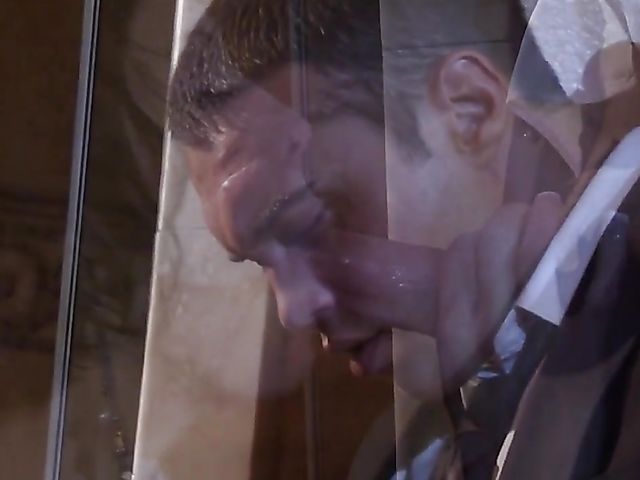 Elegant Dylan Ryder with perfect tits gets plowed