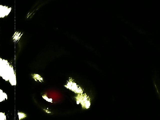 Brooke Haven and Stormy Daniels lesbian midnight