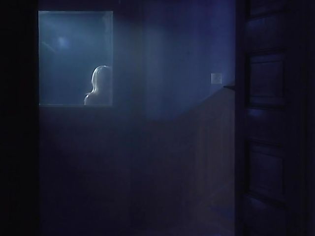 Brooke Haven and Stormy Daniels lesbian midnight