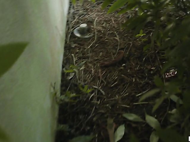 Petite latina Venus Valkyrie gets nailed by her neighbor