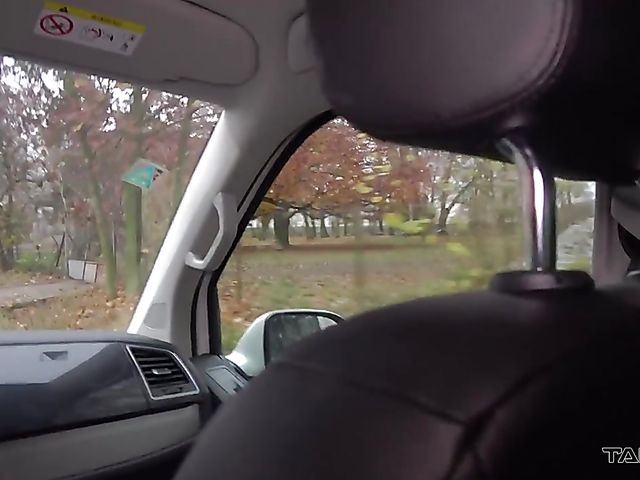 MILF picked up and screwed in the backseat