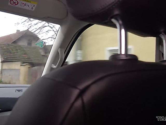 MILF picked up and screwed in the backseat