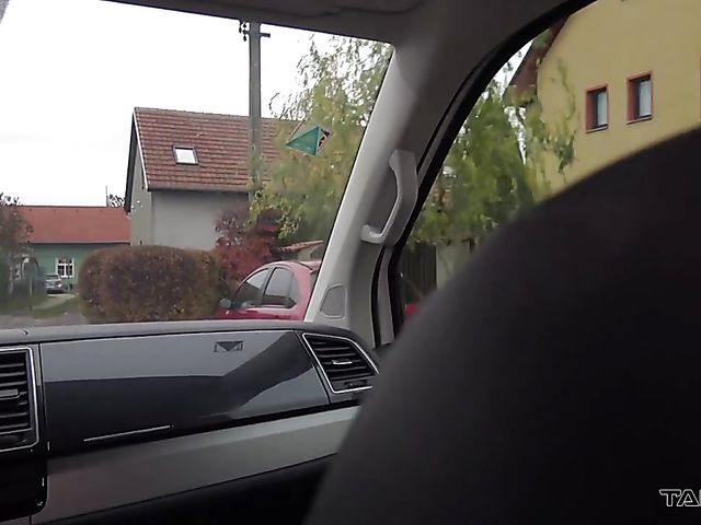 MILF picked up and screwed in the backseat