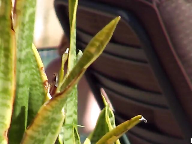 Bikini fuck with chesty redhead Rainia Belle