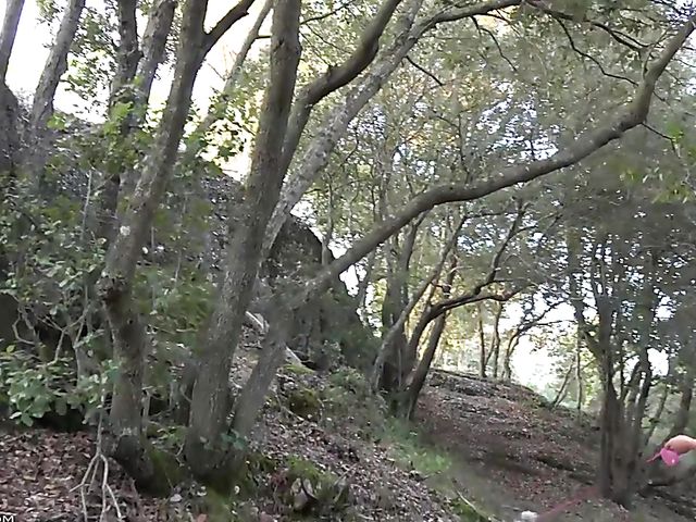 Lexa nude walk with her dog in the mountains