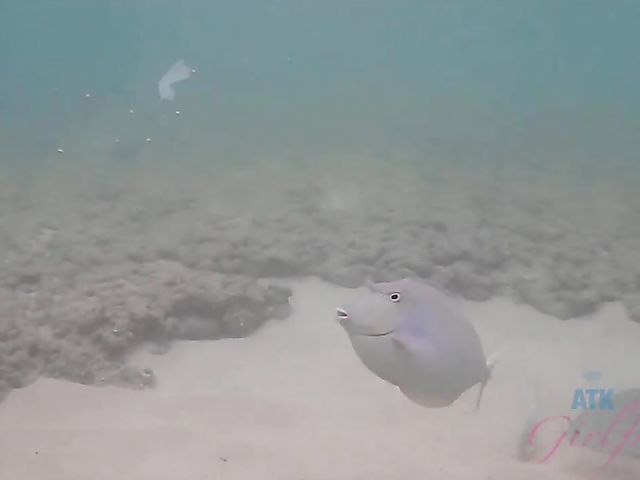 Car POV with wet girlfriend Hime Marie 
