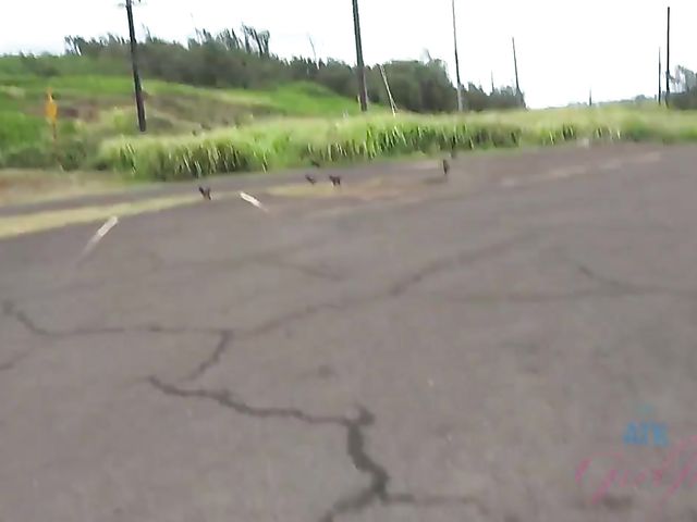 Car POV with wet girlfriend Hime Marie 