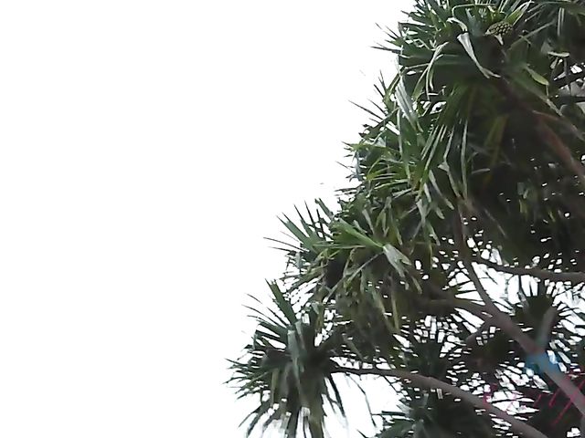 Car POV with wet girlfriend Hime Marie 