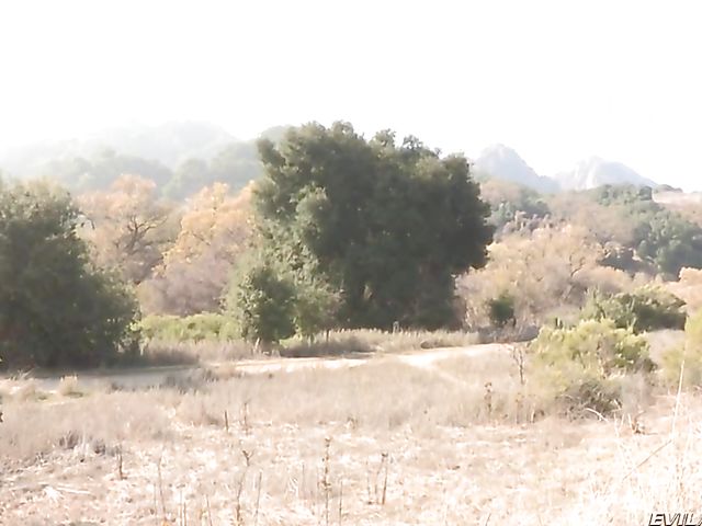 Dana Vespoli & Phoenix Marie - Lesbian ass fetish