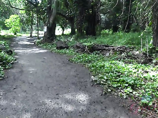 Asian ATK girlfriend Vina Sky gets naughty 