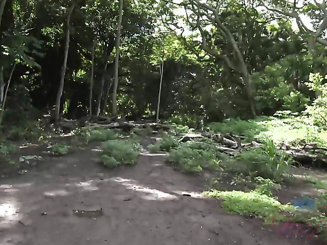 Asian ATK girlfriend Vina Sky gets naughty 