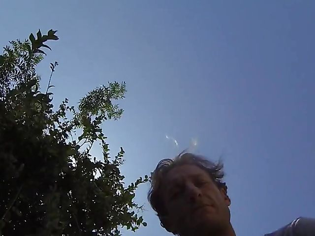 Public sex with cute slut Ariana Marie