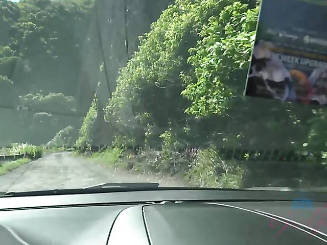 Car POV shagging with sweet girlfriend Ashley Lane