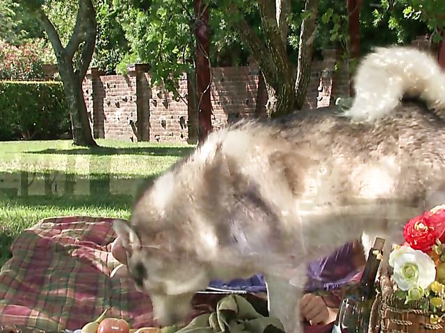 Evan Stone and Samantha Ryan outdoor sex