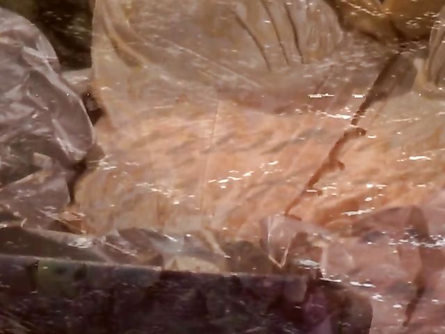 Evan Stone and Samantha Ryan outdoor sex