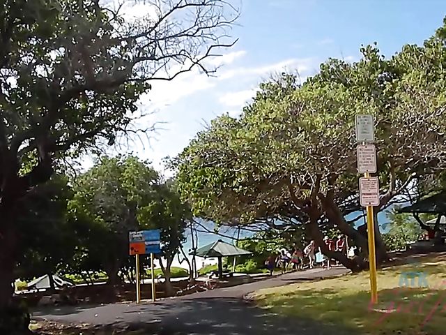 Hot moments with bikini teen Alex Blake