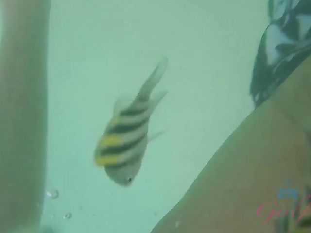 Hot moments with bikini teen Alex Blake