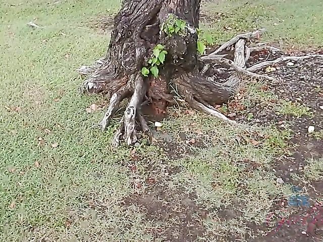 Hot moments with bikini teen Alex Blake