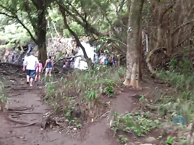 Naughty teen Emily Willis shows her coochie in the car