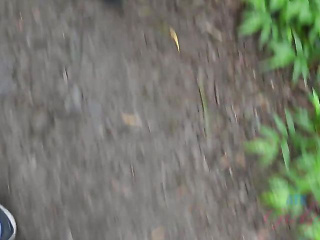 Naughty teen Emily Willis shows her coochie in the car