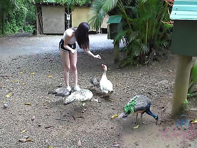 Naughty teen Emily Willis shows her coochie in the car