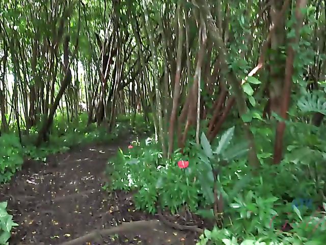 Naughty teen Emily Willis shows her coochie in the car