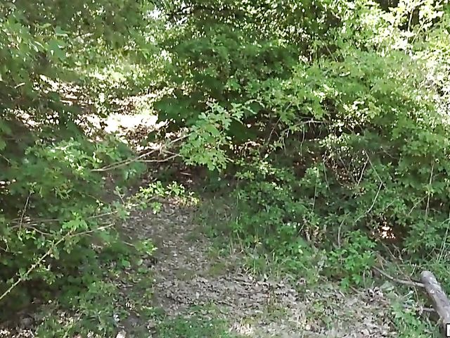 Forest anal with naughty blonde Tricia Teen