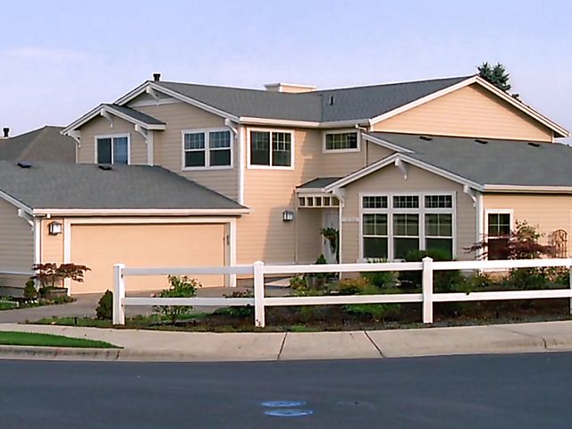 Stacked mom Lisa Ann gets her huge melons fucked by the pool