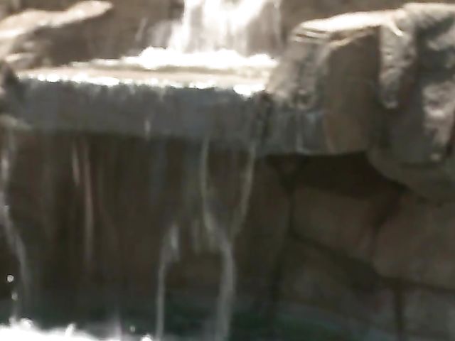 Stacked mom Lisa Ann gets her huge melons fucked by the pool