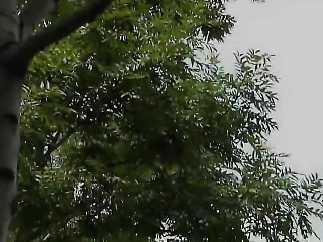 Big breasted MILF and grandpa fuck till he cums 