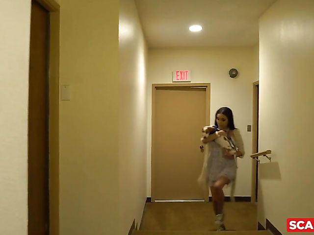 Hardcore threesome with bad girls Paige Owens and Aaliyah Hadid