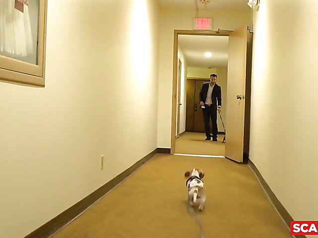 Hardcore threesome with bad girls Paige Owens and Aaliyah Hadid