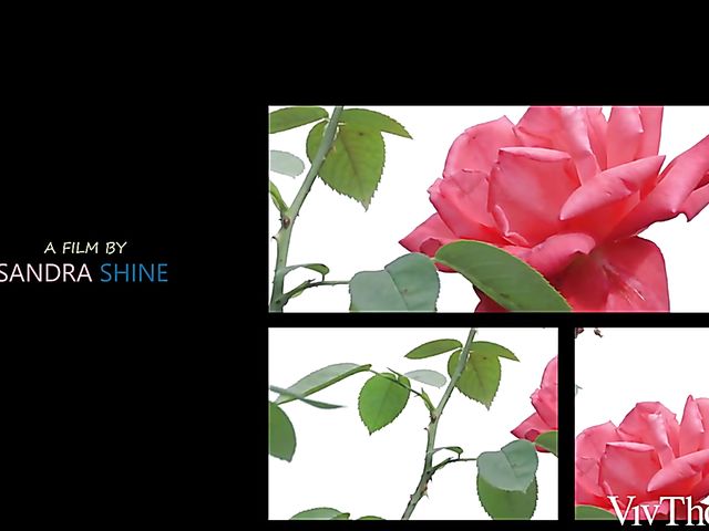 Asian lesbian Katana gets eaten out by her friend Amaris