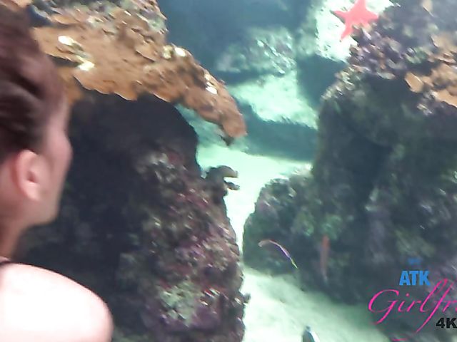 Naughty teen Brooke Haze shows her feet and cunt in the car