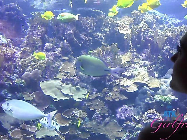 Naughty teen Brooke Haze shows her feet and cunt in the car