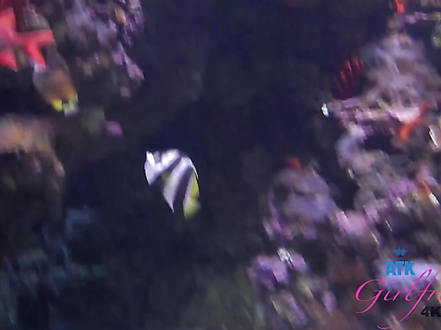 Naughty teen Brooke Haze shows her feet and cunt in the car