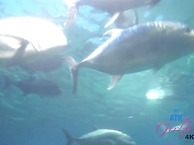 Naughty teen Brooke Haze shows her feet and cunt in the car